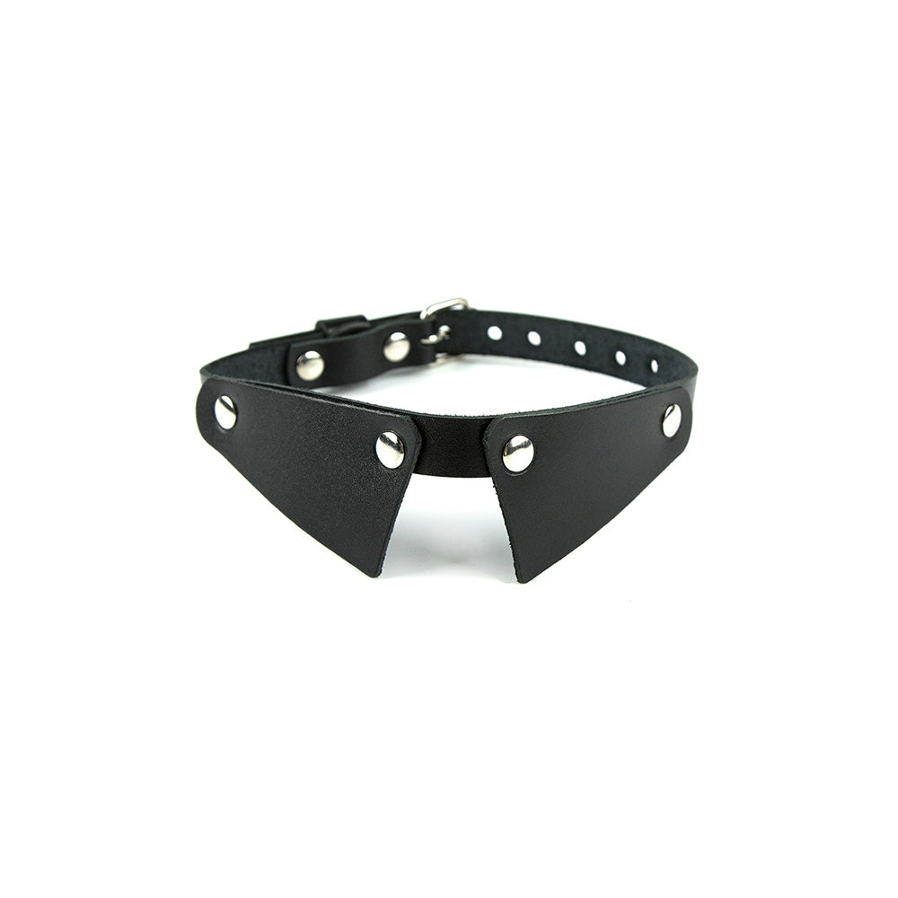 BDSM choker