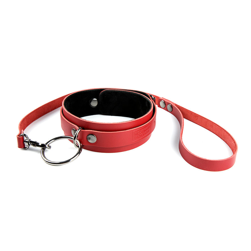 Slave collar with leash